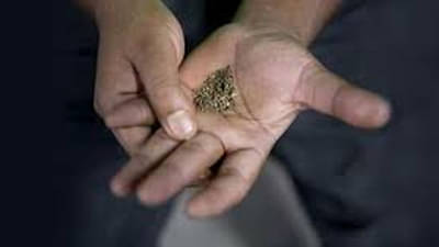 तंबाखू खाल्ल्याने नपुंसकतेचा धोका; गुटख्यापासून मुक्ती कशी मिळवाल?