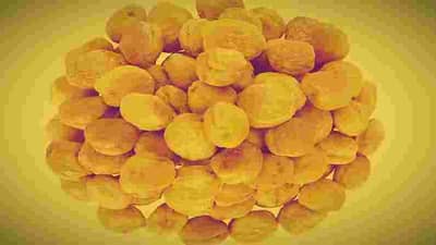 भारतातील जर्दाळूचे दुबईतील लोकही दीवाने, एकदा झाड लावल्यावर 50 वर्षे करु शकता लाखोंची कमाई