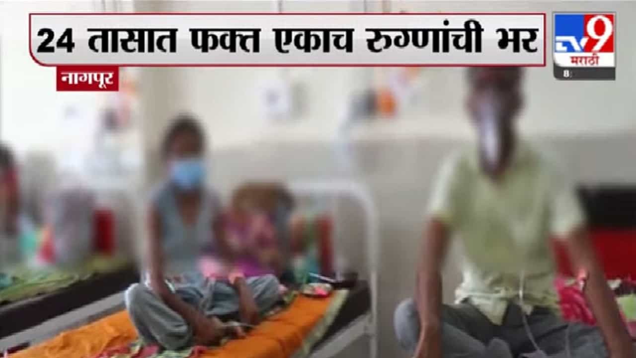 Nagpur Corona | नागपुरात कोरोना रुग्णसंख्येत घट, 24 तासांत केवळ एकाच रुग्णाची नोंद Nagpur Corona | नागपुरात कोरोना रुग्णसंख्येत घट, 24 तासांत केवळ एकाच रुग्णाची नोंद