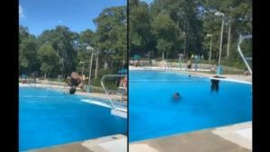 VIDEO: महिलेने स्वीमिंग पूलमध्ये उडी मारली अन् काय घडलं? व्हीडिओ सोशल मीडियावर व्हायरल