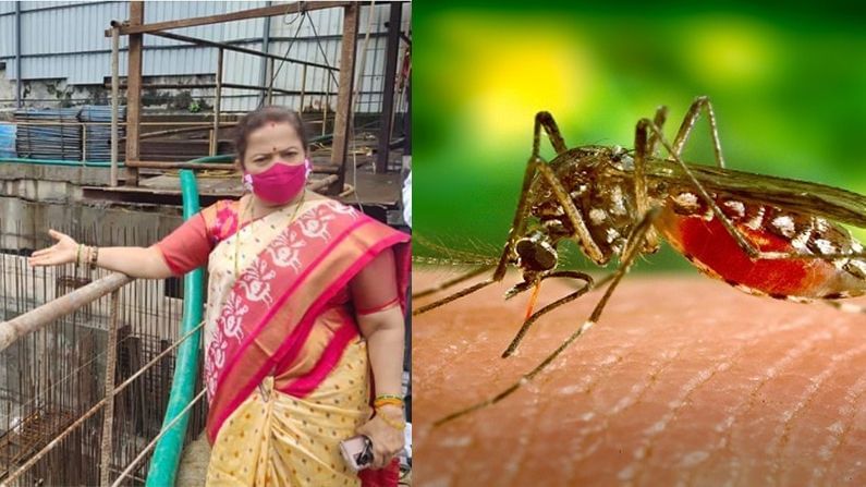 कोरोनापाठोपाठ मुंबईला डेंग्यू, मलेरियाचा 'ताप'; रुग्णालयांमध्ये रुग्णसंख्या वाढली