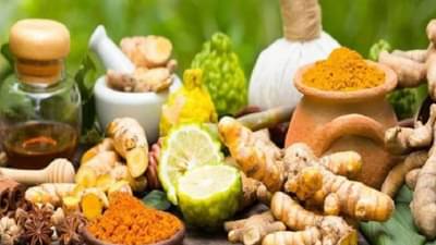 कोरोना काळात लहान मुलांची रोगप्रतिकारक शक्ती वाढवण्यासाठी या औषधी वनस्पती आणि मसाले वापरा!