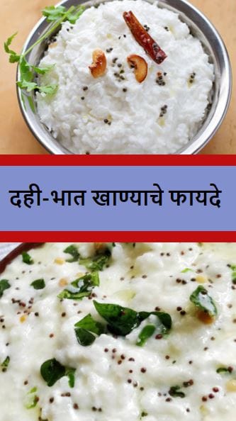 दही-भात खाण्याचेफायदे
