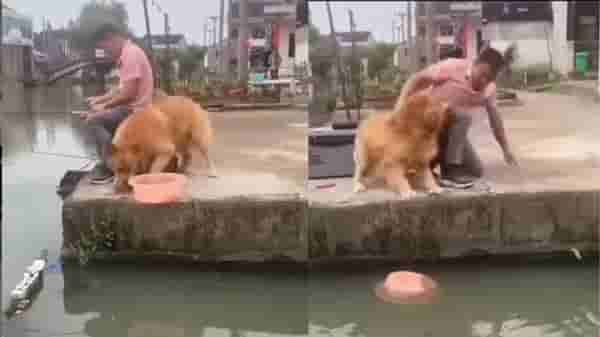 Viral Video : विश्वास, प्रेम आणि दयाळूपणा, पाहा श्वानाने कशा प्रकारे वाचवले माशांचे प्राण