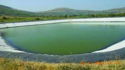 लहान भावाला वाचवताना थोरलाही बुडाला, पोळ्यावर दुःखाचे सावट!