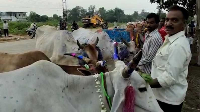 मुक्ताईनगर एकनाथ खडसे सहपरिवार च्या वतीने पोळा सन साजरा माजी मंत्री एकनाथराव खडसे पारंपारिक पद्धतीने याहीवर्षी सहकुटुंब बैलपोळा सण बैलाची विधिवत पूजा करत एकनाथ खडसे, मंदाताई खडसे ,खासदार रक्षा खडसे यांच्या हस्ते बैलाची पूजा करून नेहमीप्रमाणे पोळा सण त्यांच्या मुक्ताईनगर तालुक्यातील कोथळी गावात साजरा केला.
