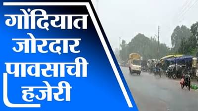 Gondia Rain | गोंदियामध्ये जोरदार पावसाची हजेरी, शेतकऱ्यांना दिलासा