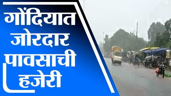 Gondia Rain | गोंदियामध्ये जोरदार पावसाची हजेरी, शेतकऱ्यांना दिलासा Gondia Rain | गोंदियामध्ये जोरदार पावसाची हजेरी, शेतकऱ्यांना दिलासा