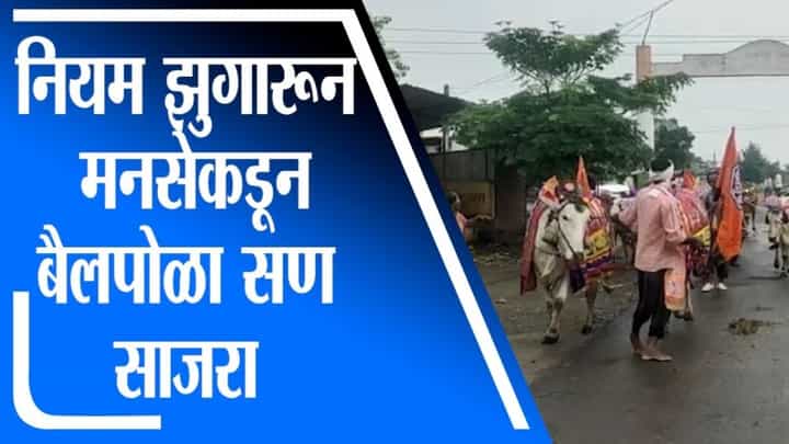 Yavatmal | राज्य सरकारचे नियम झुगारुन मनसेकडून बैलपोळा सण साजरा Yavatmal | राज्य सरकारचे नियम झुगारुन मनसेकडून बैलपोळा सण साजरा