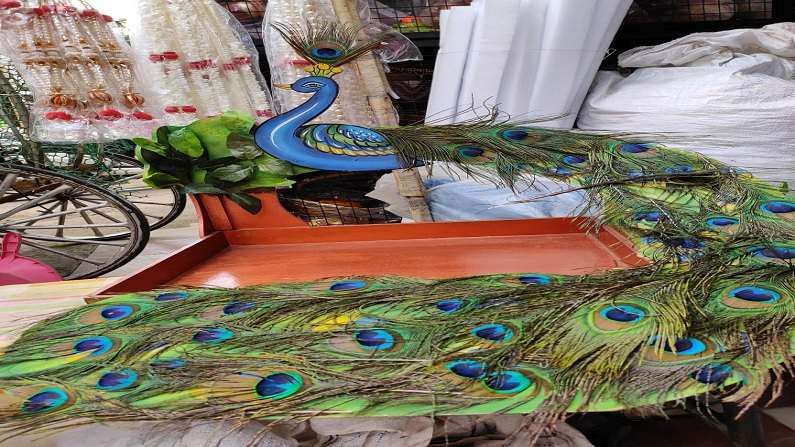 Peacock Feather Remedies : मोराच्या पंखाने पूर्ण होईल इच्छा आणि सर्व दोष होतील दूर, जाणून घ्या कसे?