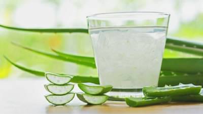 Aloe Vera Juice Benefits : दररोज सकाळी रिकाम्या पोटी कोरफडचा रस प्या आणि निरोगी आयुष्य जगा, वाचा याबद्दल!