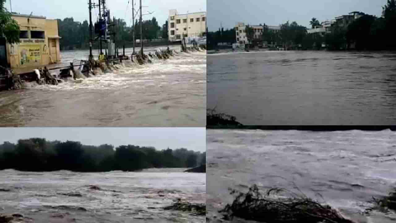 Maharashtra Rain : महाराष्ट्रात पावसाचं धुमशान, मुंबई चिंब, विदर्भ मराठवाड्यात तुफान, चाळीसगावावर पुन्हा नद्या कोपल्या