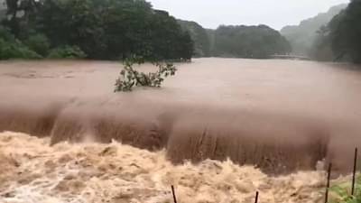 ...आणि चार मित्र पुराच्या चक्रव्यूव्हात अडकले, जल्लोषाचं संकटात रुपांतर, गोंदियातील मन पिळवटून टाकणारी घटना