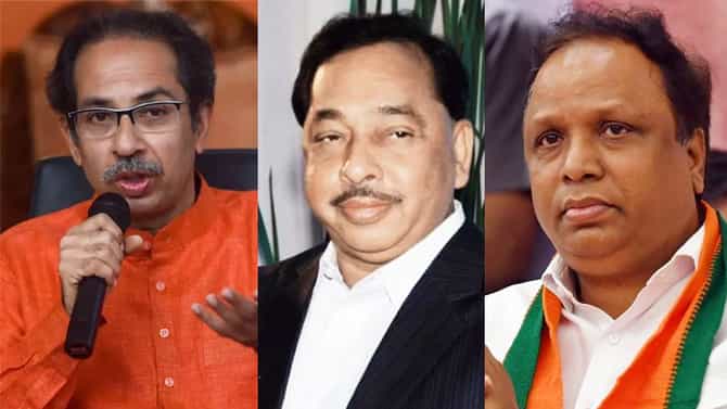 आधी फडणवीस, आता शेलारांकडून राणेंच्या विधानापासून फारकत; शेलार म्हणाले, विमानतळाच्या उद्घाटनला मुख्यमंत्र्यांनी यावं