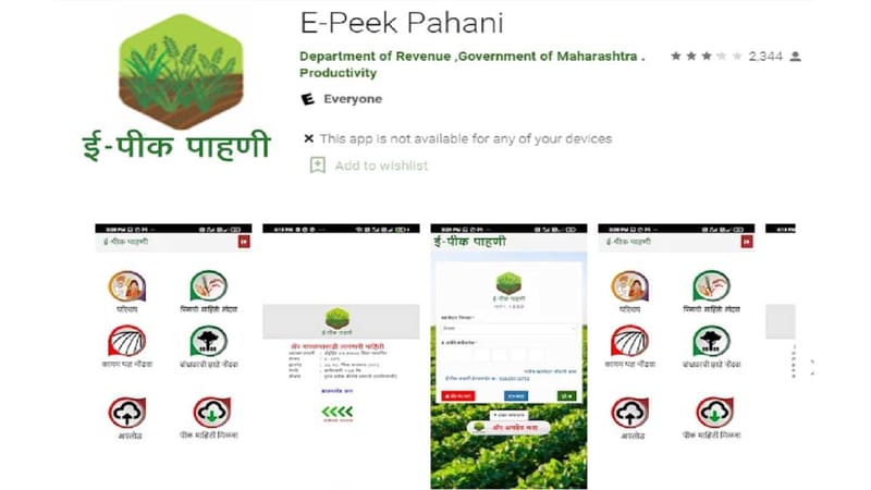 ई-पीक पाहणी ॲपवर नोंदणी करण्यास मुदतवाढ, शेतकऱ्यांना पीक पाहणी नोंदवण्याचं शासनाचं आवाहन