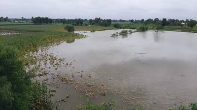 पाझर तलावाचे पाणी शेतात घुसले, दहा एकरांवरील लाखोंचे पीक वाहून गेले