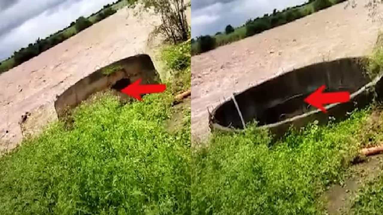 Video | औरंगाबादेत पावसाचा हाहा:कार, पुराच्या पाण्यात चक्क विहीर वाहून गेली, थरार कॅमेऱ्यात कैद
