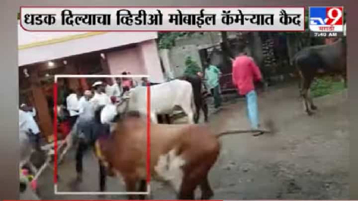 Aurangabad | बैलाची शेतकऱ्याला जोरदार धडक, पोळ्याच्या दिवशी घटना Aurangabad | बैलाची शेतकऱ्याला जोरदार धडक, पोळ्याच्या दिवशी घटना