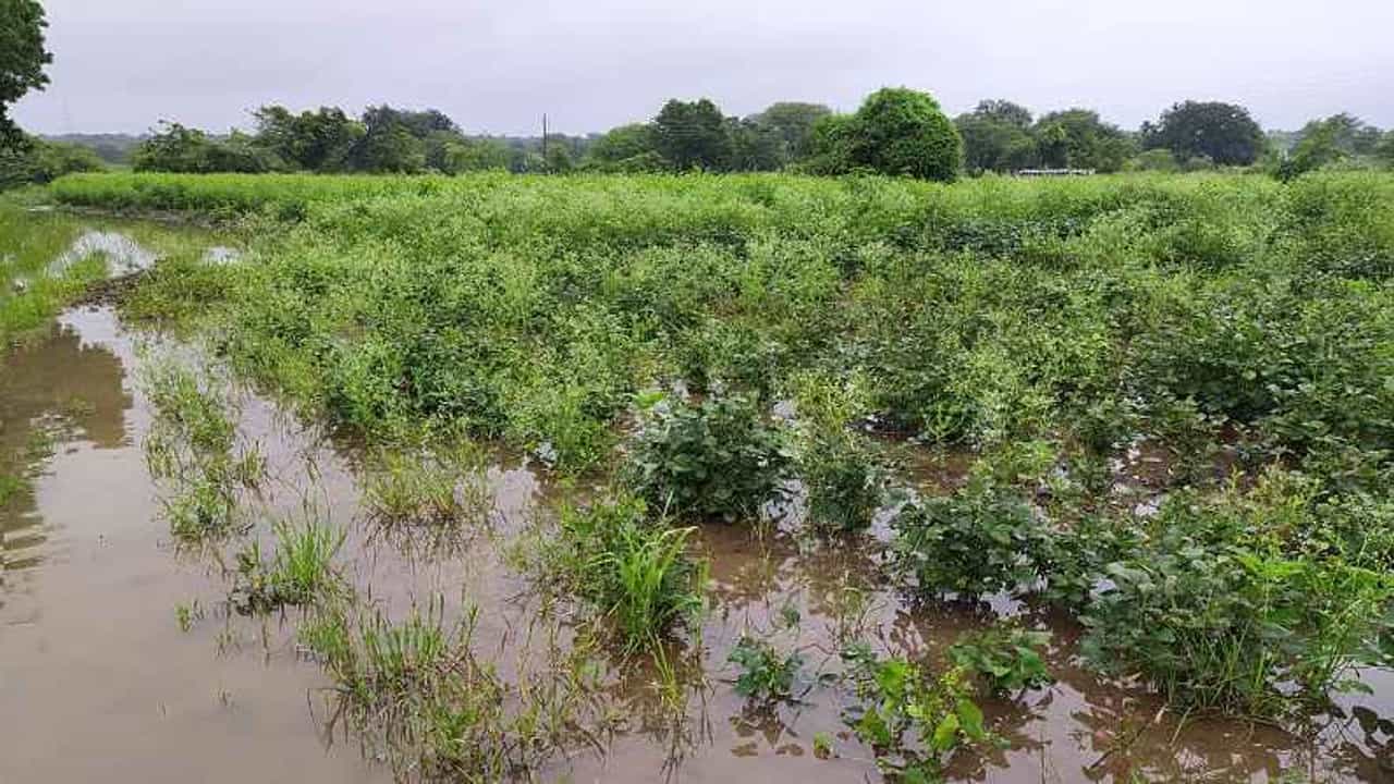 अतिवृष्टीने खरिपही पाण्यात, शेतजमिनीही खरडल्या, मराठवाड्यात 3 लाख हेक्टरवर नुकसान