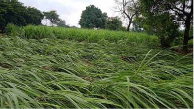 शेतकऱ्यांनो नुकसानीची तक्रार 72 तासांच्या आत दाखल करा, नुकसानभरपाईसाठी कुठे आणि कशी कराल तक्रार, जाणून घ्या