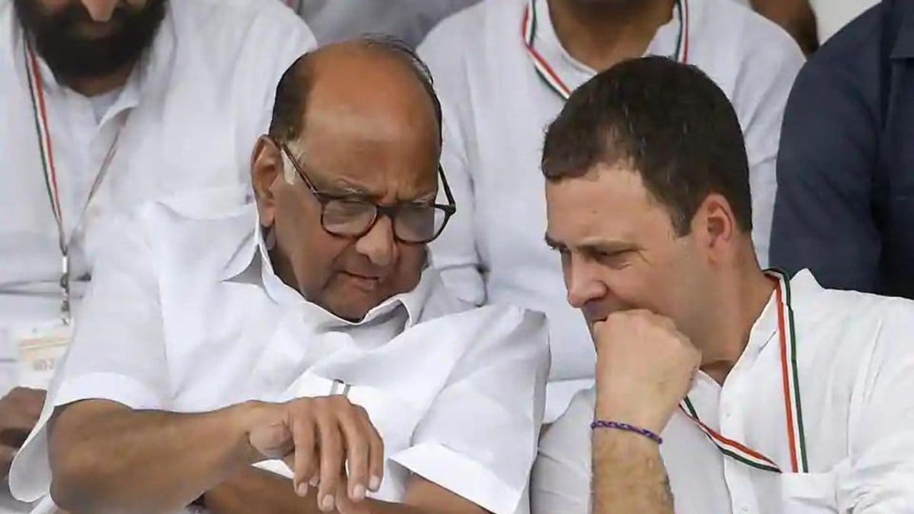 Sharad Pawar and Rahul Gandhi