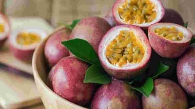 खनिजांचे उत्तम स्त्रोत आहे कृष्णा फळ, शरीराचे अनेक रोगांपासून करते संरक्षण