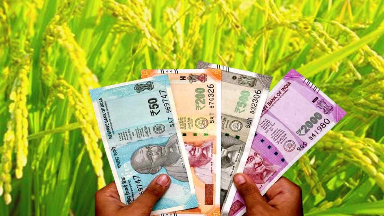 शेतकऱ्यांना सावकारांपासून वाचवणार, PNB बँकेचा पुढाकार, जाणून घ्या कर्जासाठी खास योजना