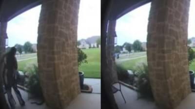 Video | फिरायला जाण्यासाठी महिला बाहेर पडली, अचानकपणे सापाचा हल्ला, थरार कॅमेऱ्यात कैद