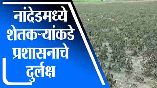 पीक विमा कंपन्यांचे सर्व्हर बंद, नुकसानाचे फोटो कसे पाठवायचे, महसूल विभागानं वाऱ्यावर सोडलं, नांदेडचे शेतकरी आक्रमक