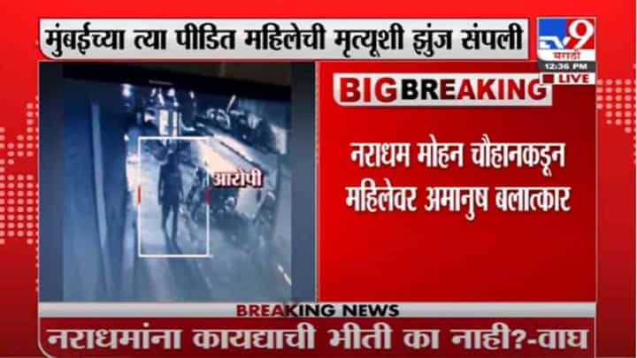 VIDEO : Mumbai Rape Case | बलात्कार पीडितेचा मृत्यू; श्वेता महाले, नसिम खान, भाई जगताप यांच्या प्रतिक्रिया VIDEO : Mumbai Rape Case | बलात्कार पीडितेचा मृत्यू; श्वेता महाले, नसिम खान, भाई जगताप यांच्या प्रतिक्रिया