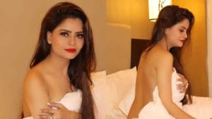 गेहना वशिष्ठचं टॉपलेस फोटोशूट, चाहते म्हणाले, राज कुंद्राचं शूट होतं का?