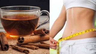 Weight Loss Tips : वजन कमी करण्यासाठी आहारात मोरिंगा चहाचा समावेश करा!