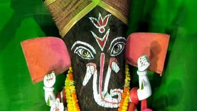 अकोल्यात कडुलिंबाच्या झाडाला श्री गणेशाचं रुप, पर्यावरण संरक्षणाबाबत जनजागृतीचा संदेश