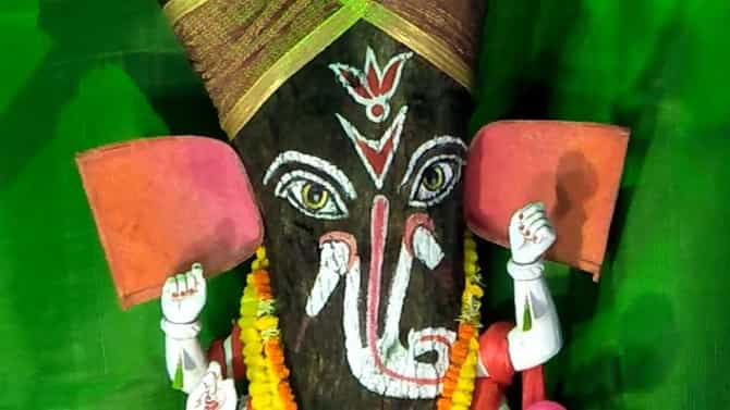 अकोल्यात कडुलिंबाच्या झाडाला श्री गणेशाचं रुप, पर्यावरण संरक्षणाबाबत जनजागृतीचा संदेश