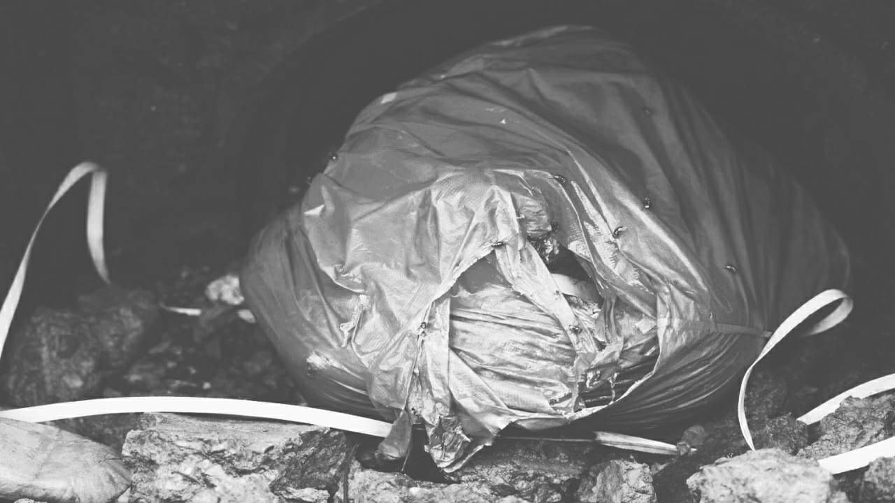 मुंबई एपीएमसीत नाल्यामध्ये निळ्या प्लास्टिकच्या पिशवीत मृतदेहाचे तुकडे, परिसरात एकच खळबळ
