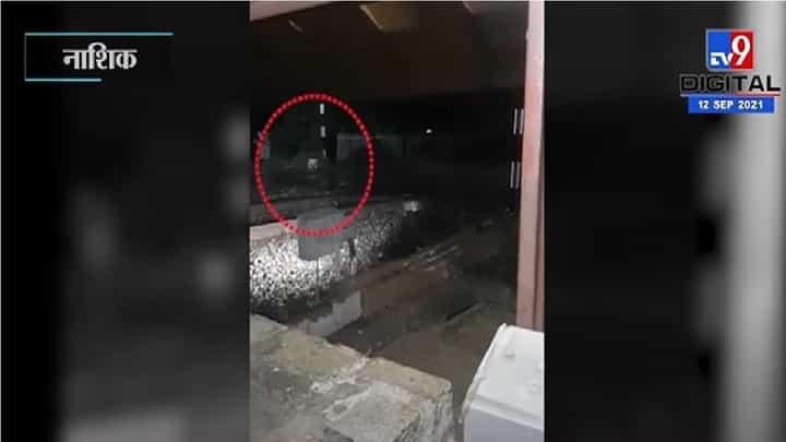 Nashik | नांदुर्डी येथे मध्यरात्री बिबट्याचे दर्शन, परिसरात भीतीचे वातावरण Nashik | नांदुर्डी येथे मध्यरात्री बिबट्याचे दर्शन, परिसरात भीतीचे वातावरण