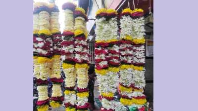 महालक्ष्मीच्या निमित्तावर जाधववाडीत 100 टन भाज्यांची आवक, 16 भाज्या एकत्र किलोवर विक्रीला, फुलांचे हार 1000 रुपये जोडी