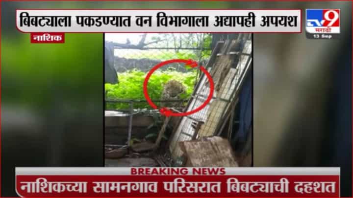 Nashik Leopard | नाशिकच्या सामनगावात बिबट्याची दहशत Nashik Leopard | नाशिकच्या सामनगावात बिबट्याची दहशत