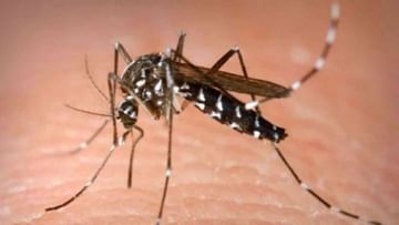 Dengue Outbreak: देशात डेंग्यूचा उद्रक, प्रादुर्भाव रोखण्यासाठी केंद्र सरकार 'या' नऊ राज्यांमध्ये पाठवणार तज्ज्ञांची टीम