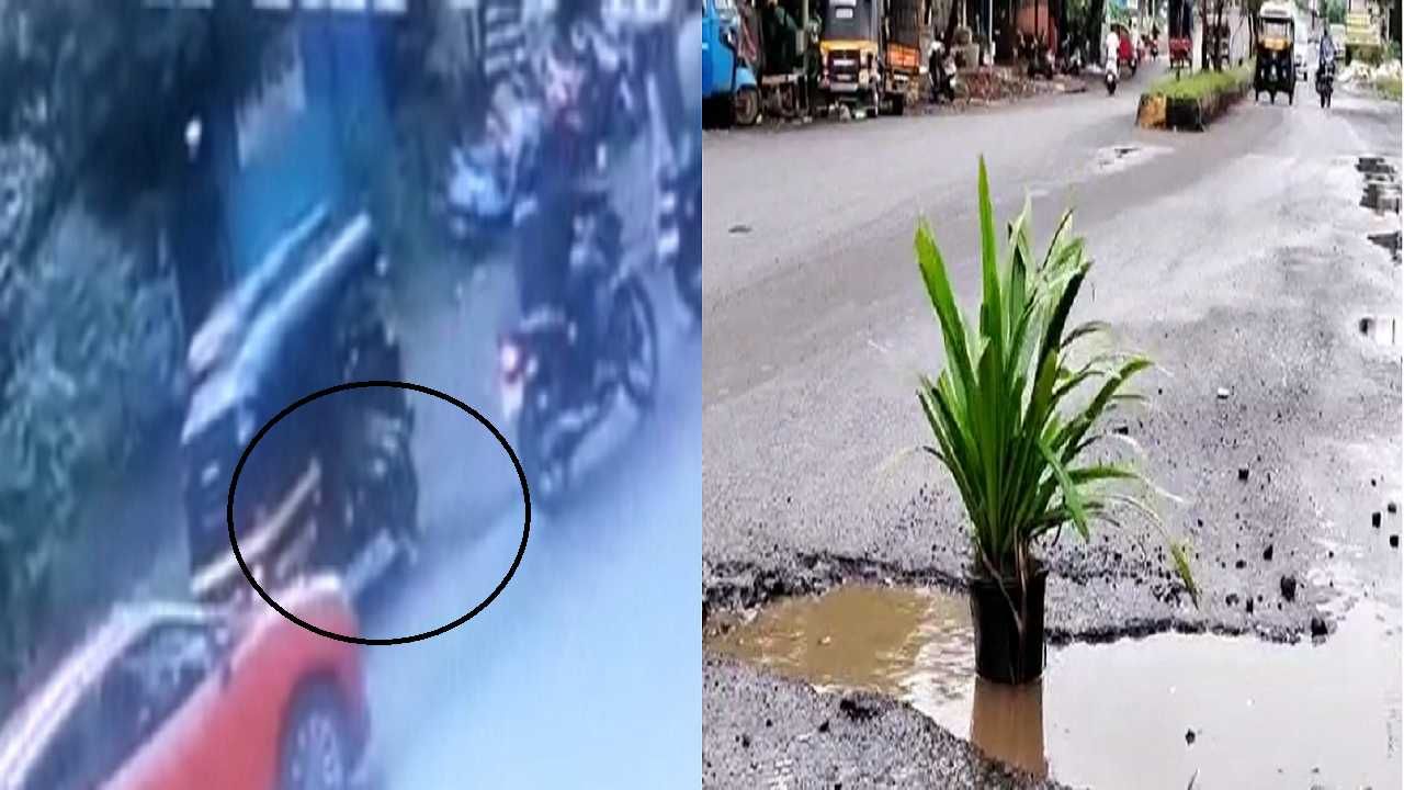 VIDEO : काय करावं नेमकं? केडीएमसी एकीकडे खड्डे भरत नाही, अपघात टाळण्यासाठी लावण्यात आलेली झाडाची कुंडी चोरटे सोडत नाही