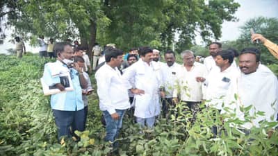 शेतकरी बांधवांनो खचून जाऊ नका, सरकार शेतकऱ्यांच्या पूर्णपणे पाठीशी : धनंजय मुंडे