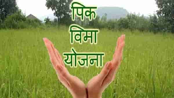 ...अखेर कृषी आयुक्तांचे भाकित खरे ठरले, काय होते केंद्र सरकारला लिहलेल्या पत्रात?