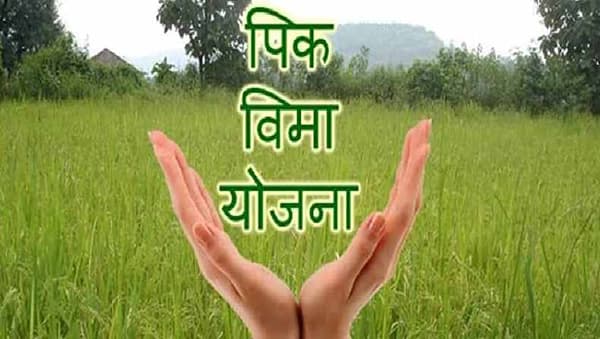 रब्बीचा पीकविमा भरण्यासाठी कृषी संचालकांनी दिली डेडलाईन