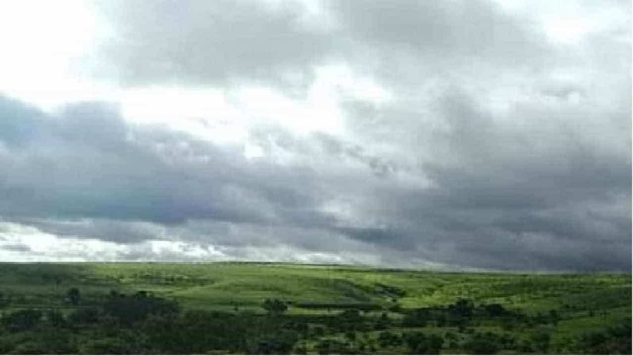 Weather Forecast : कोकण, मराठवाडा ते दक्षिण महाराष्ट्रात जोरदार पाऊस, हवामान विभागाकडून यलो ॲलर्ट जारी