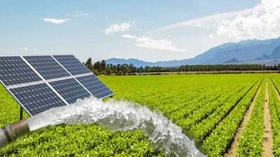 70 हजार गुंतवून सुरू करा व्यवसाय, लाखोंच्या कमाईची संधी, सरकार 30% सबसिडी देणार