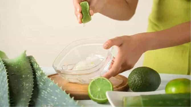 Aloe Vera Benefits : कोरफड केसांसाठी अत्यंत फायदेशीर, अशाप्रकारे वापरा!