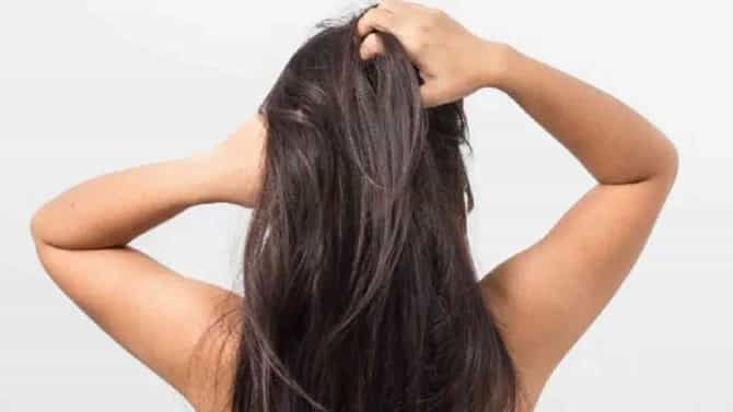 Hair Care : जाड आणि मजबूत केस मिळवण्यासाठी आहारात या 7 गोष्टींचा समावेश करा!