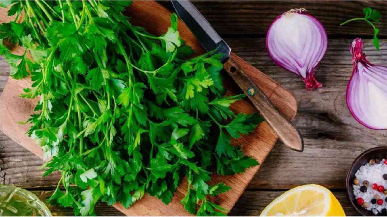 Health Benefits Of Parsley ओव्याचे आश्चर्यकारक आरोग्यदायी फायदे जाणून