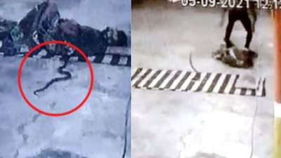 महादेवाच्या मंदिरात झोपला होता मुलगा, अचानक कोब्रा त्याच्या चादरीत शिरला, आणि त्यानंतर...