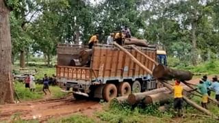 Viral Video : 10 वर्षांपासून एकटेपणा आलेल्या शार्कने टाकीवर मारलं डोकं, हा व्हिडीओ पाहाच